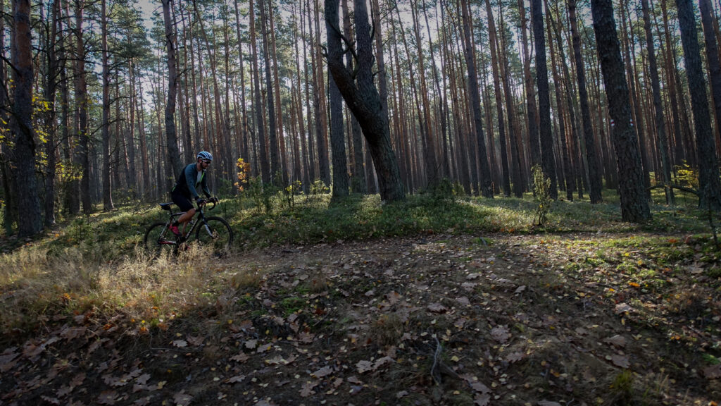 Read more about the article Przygoda w Kampinosie