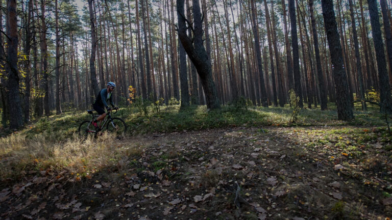 Read more about the article Przygoda w Kampinosie