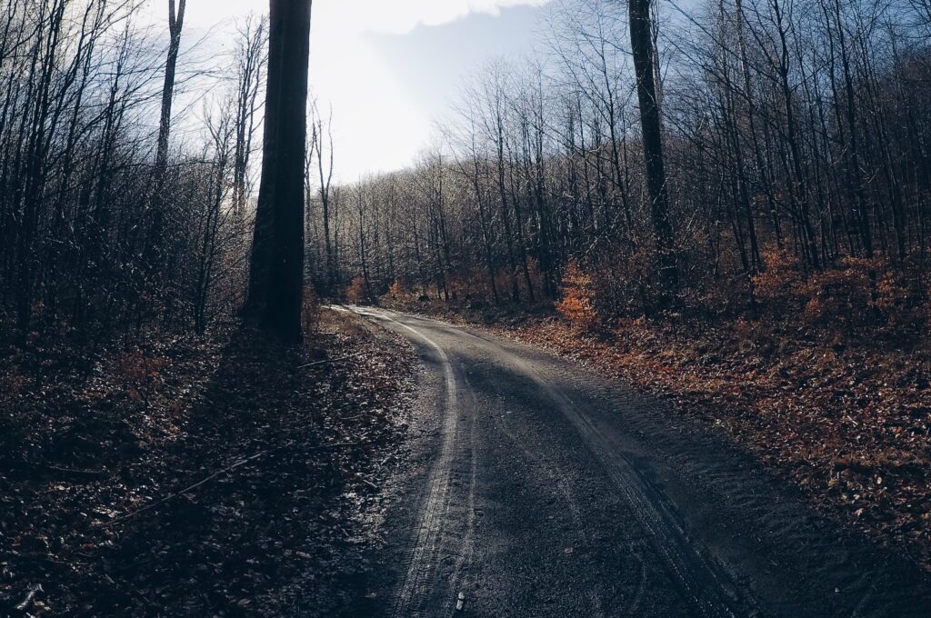 Read more about the article Styczeń gravel 2020