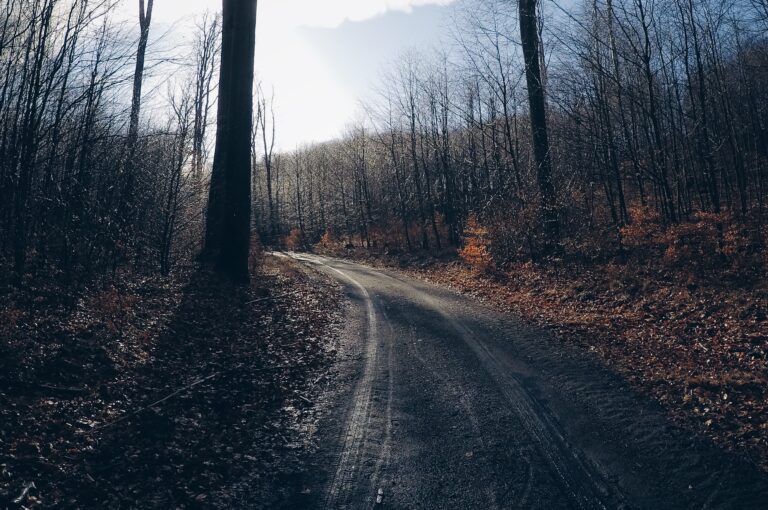 Read more about the article Styczeń gravel 2020