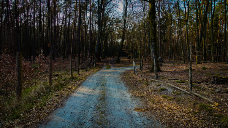 Read more about the article Solo gravel