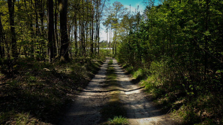 Read more about the article Great Gravel Loop