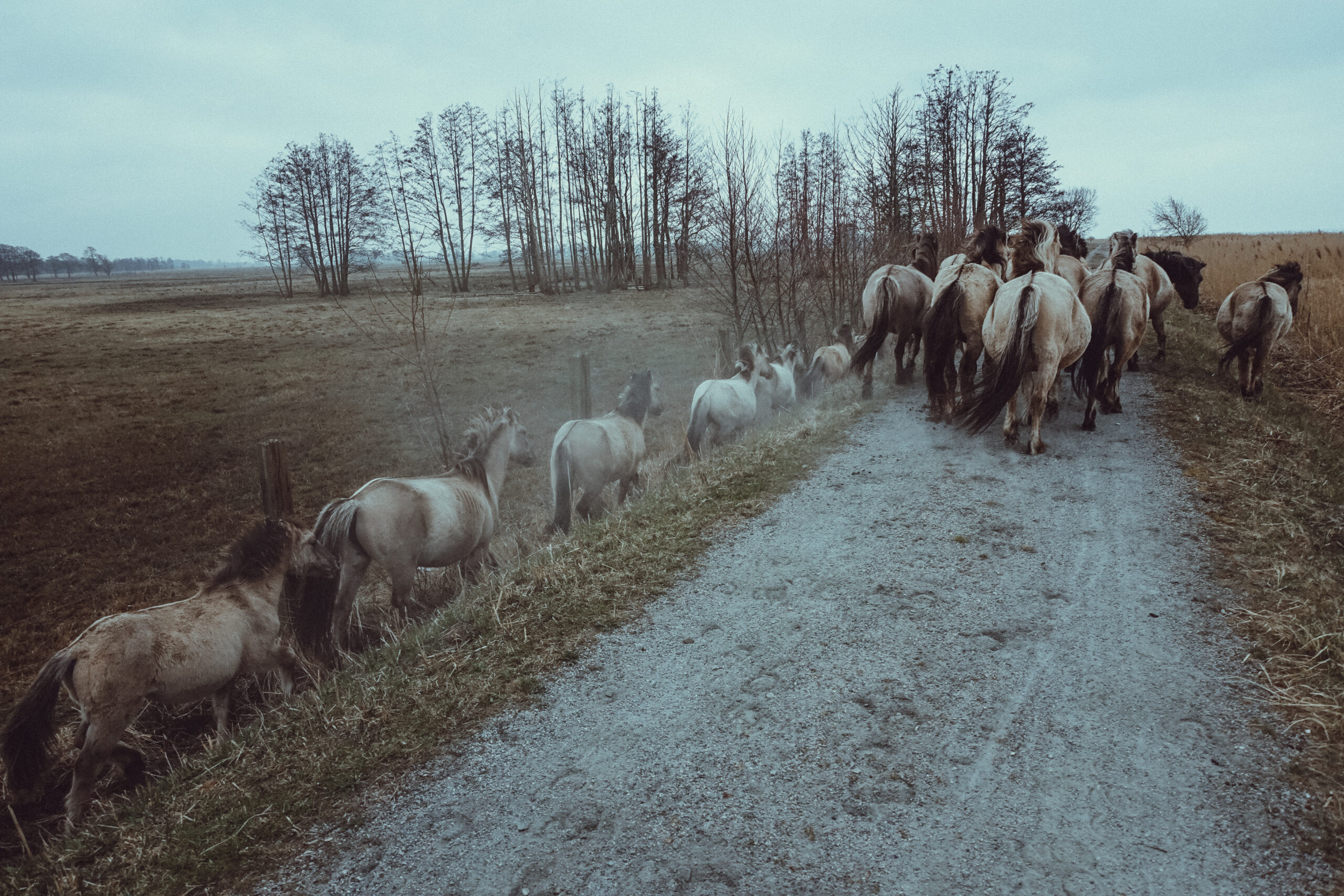 Jesienne przedwiośnie wzdłuż Zalewu