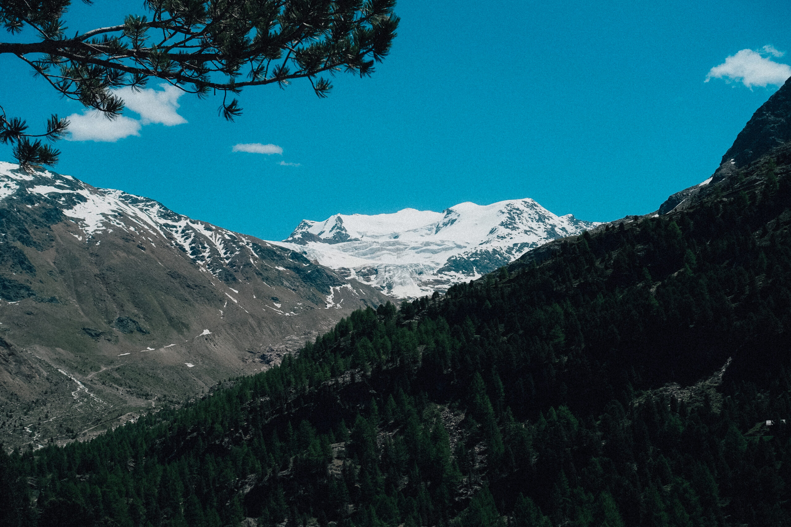 Bormio 12 IT 24 scaled