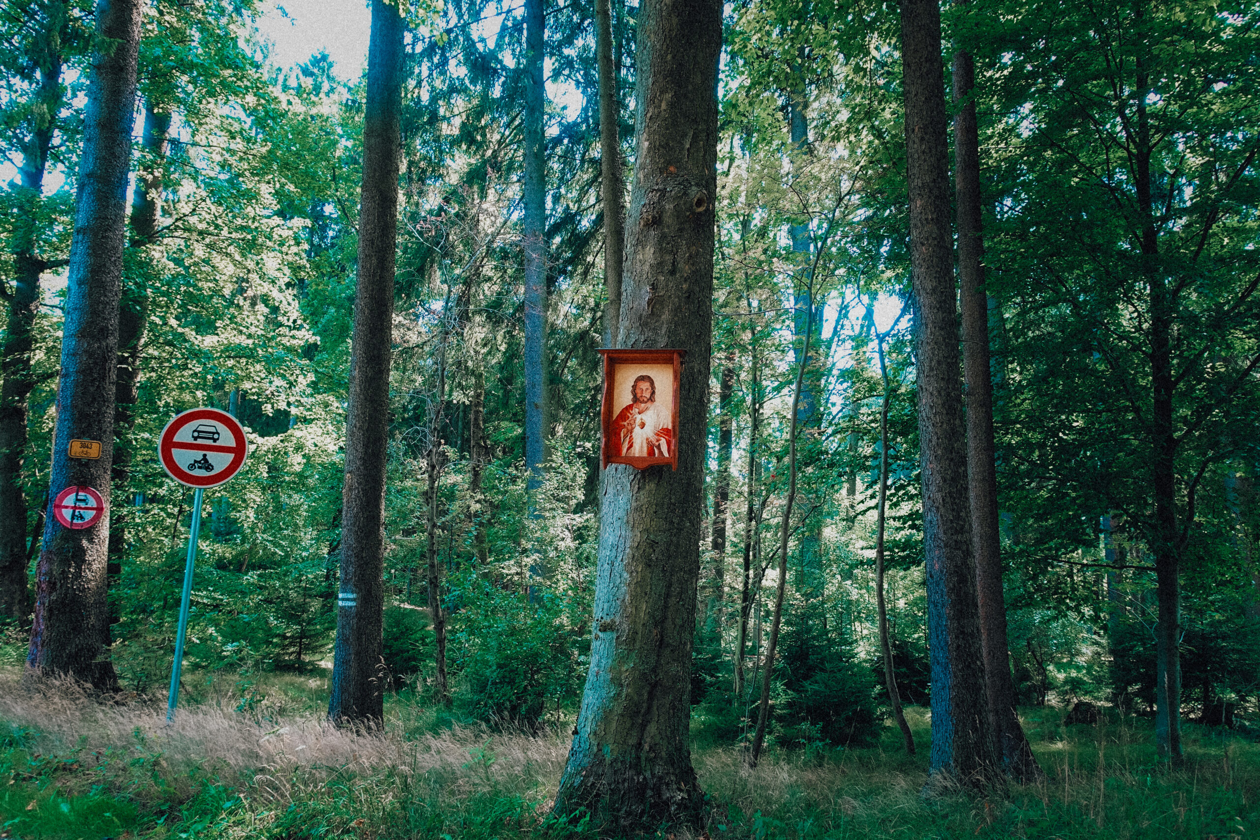 České Švýcarsko 31 Cesko 35 scaled