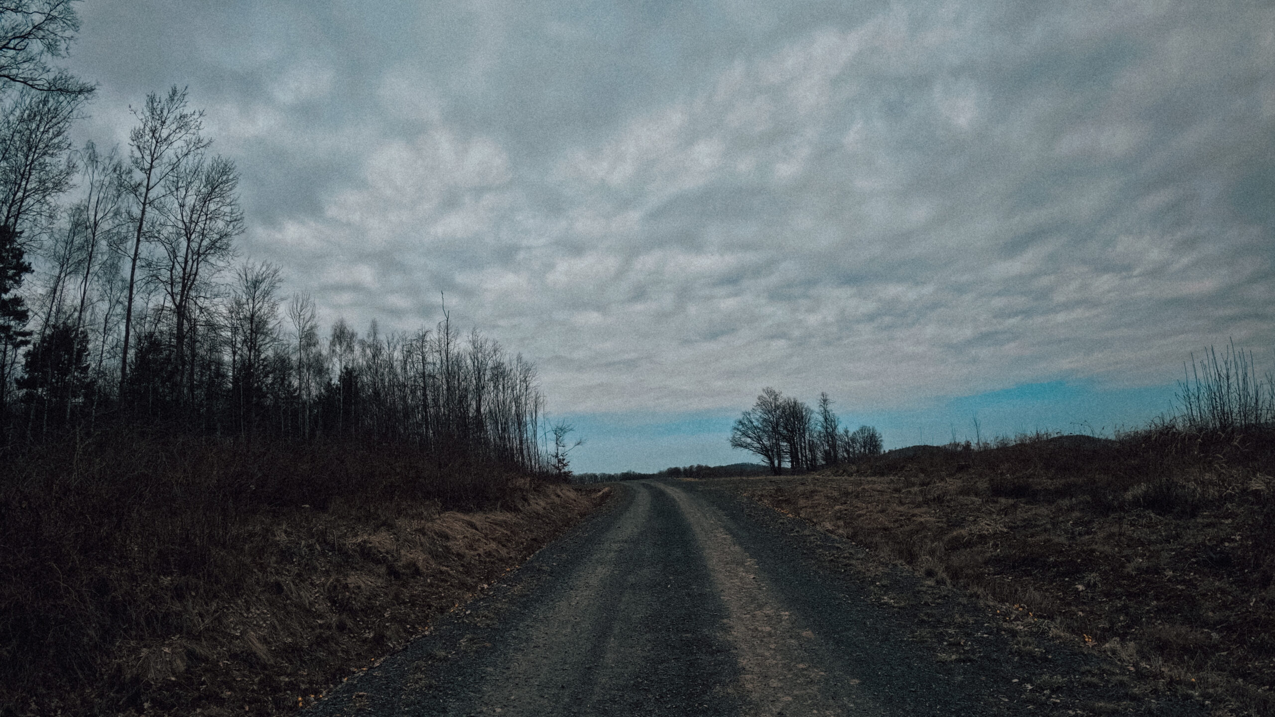 Brevet Bobry na Gravele 23 GPTempDownload 24 scaled