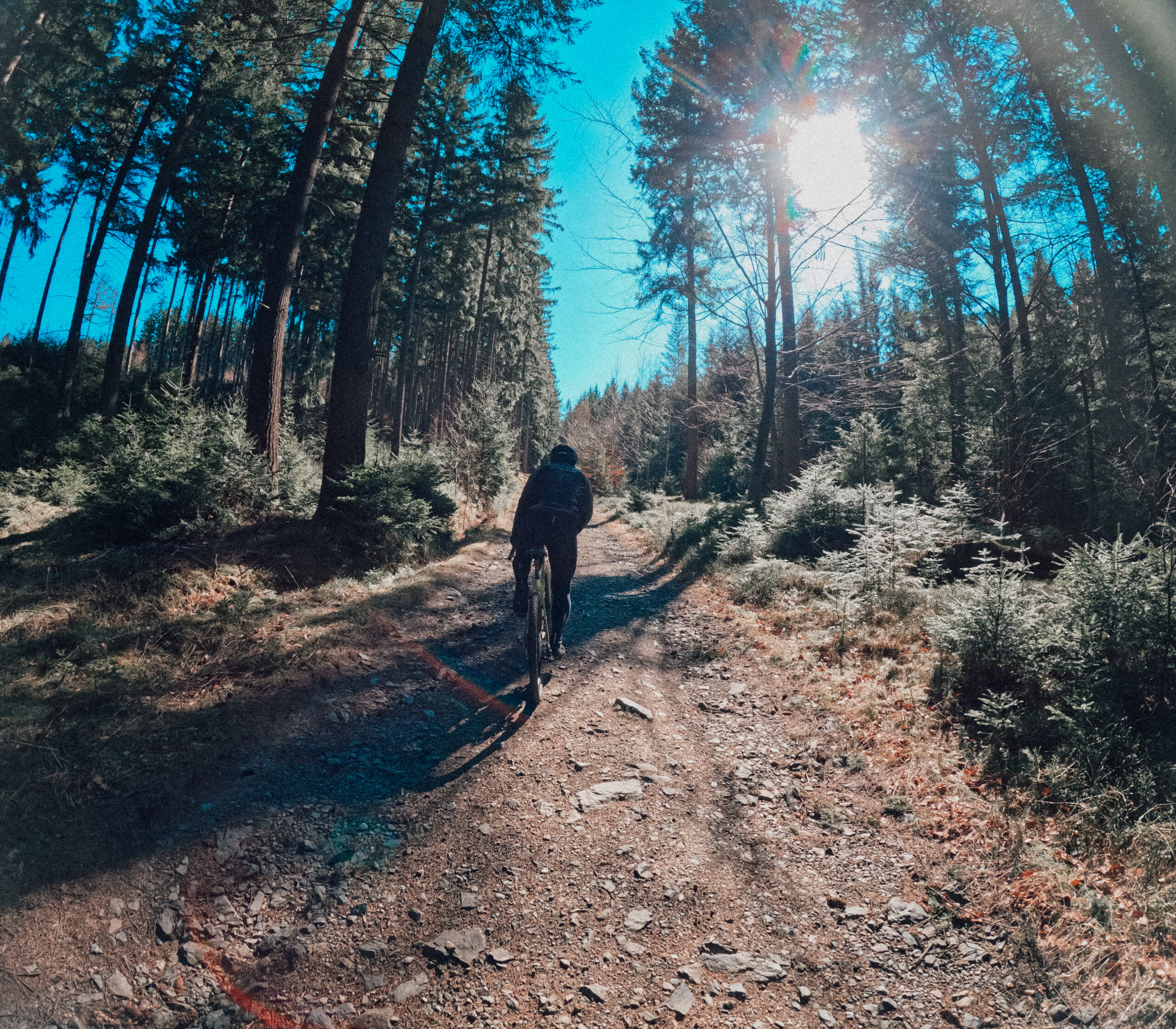 Brevet Bobry na Gravele 4 GPTempDownload 3 scaled