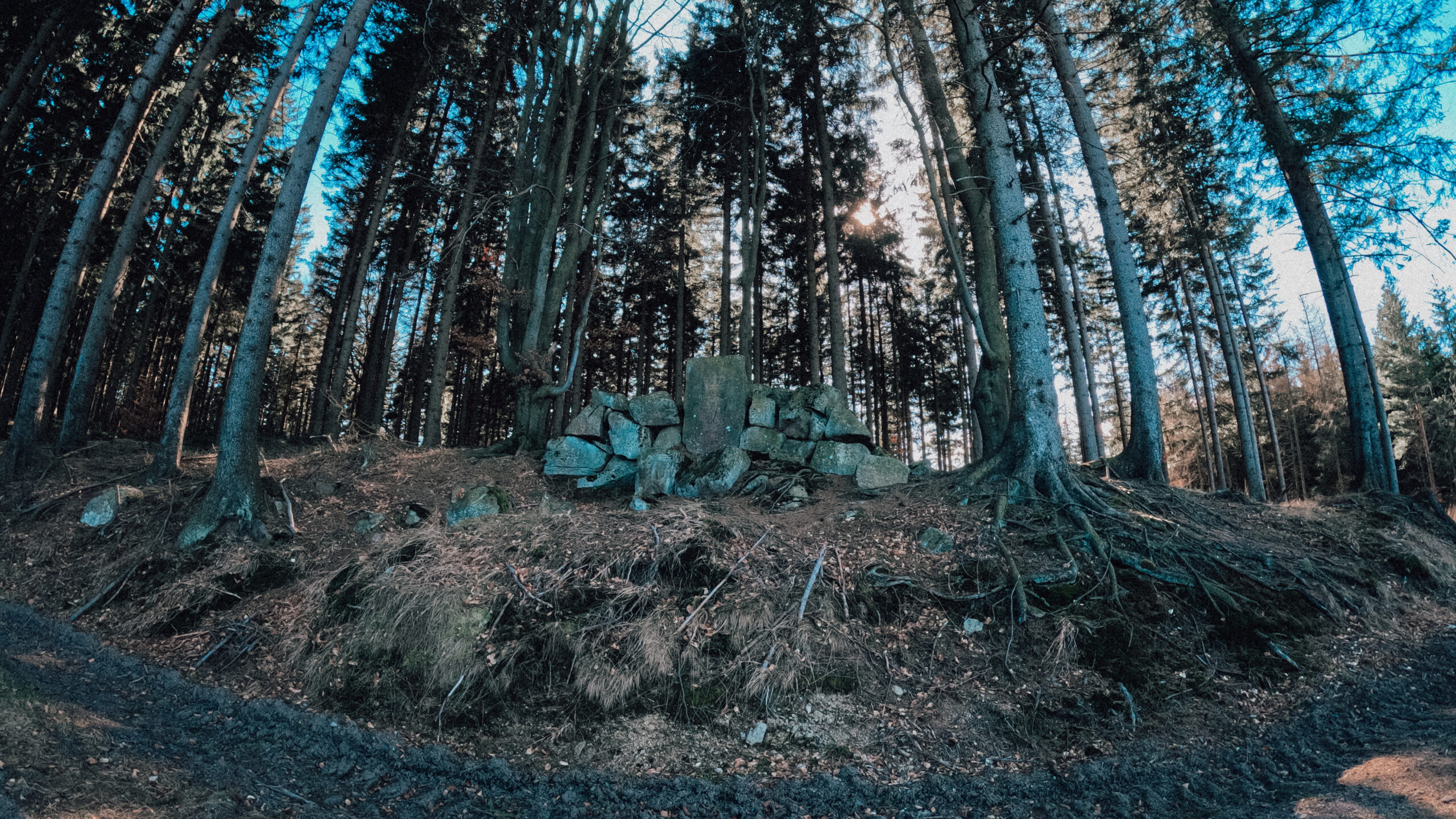 Brevet Bobry na Gravele 11 GPTempDownload 5 scaled