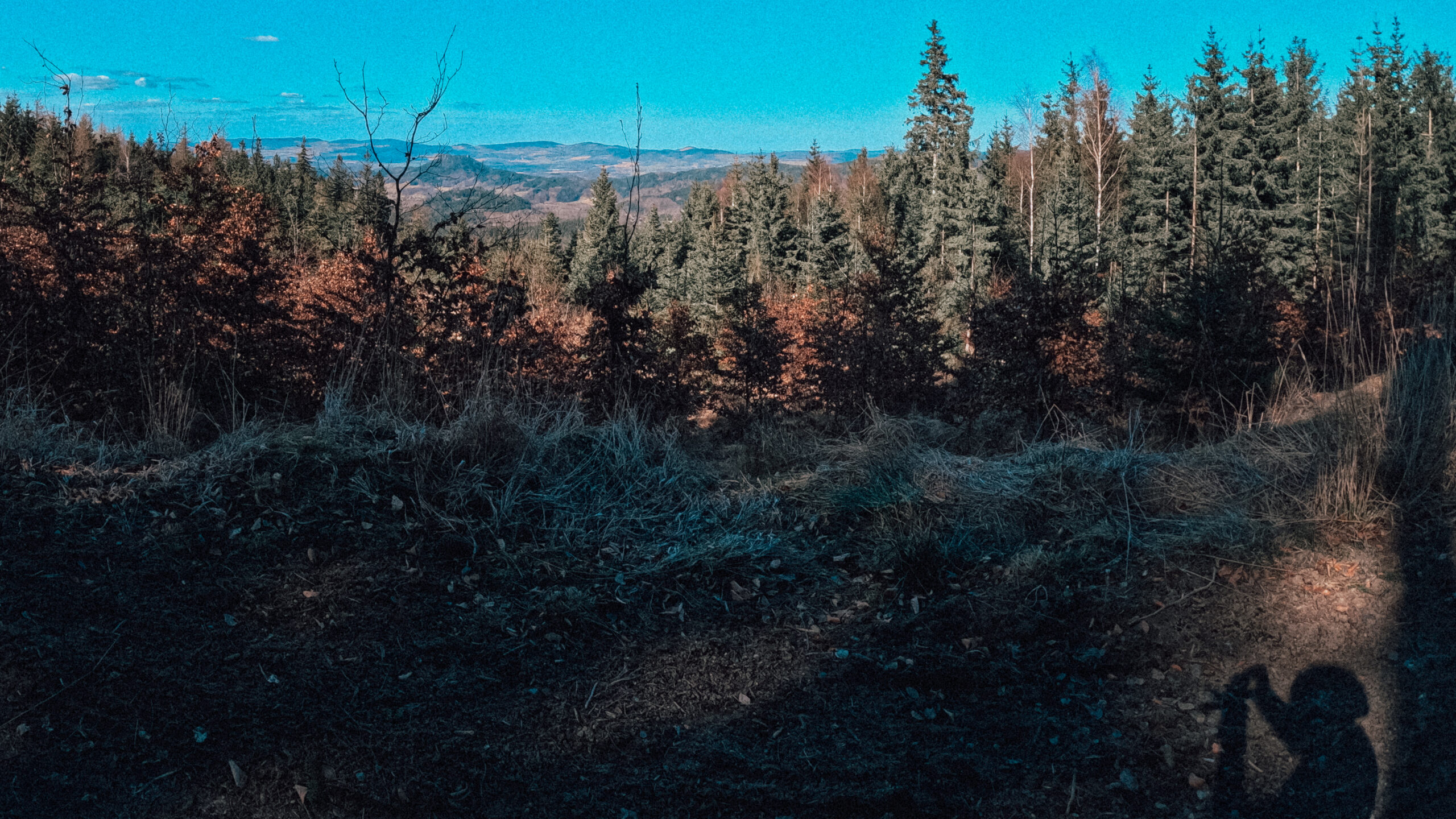 Brevet Bobry na Gravele 13 GPTempDownload 6 scaled