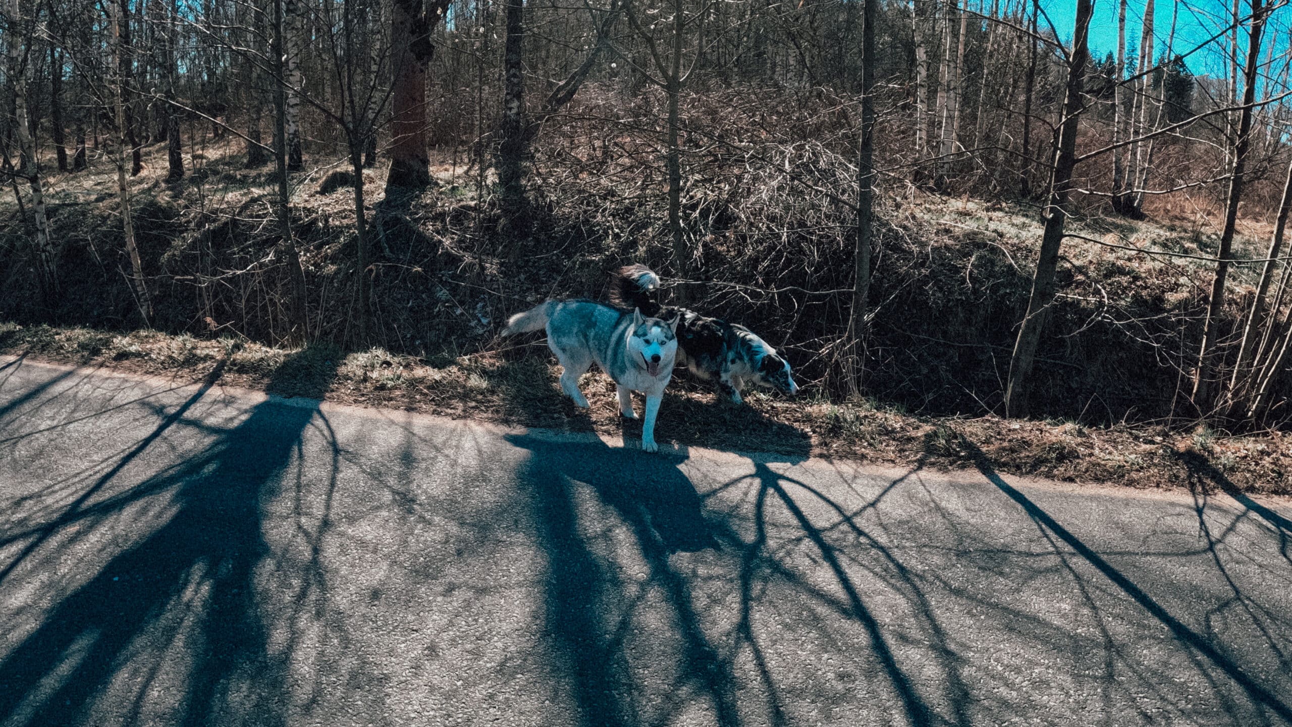 Brevet Bobry na Gravele 7 GPTempDownload 9 scaled