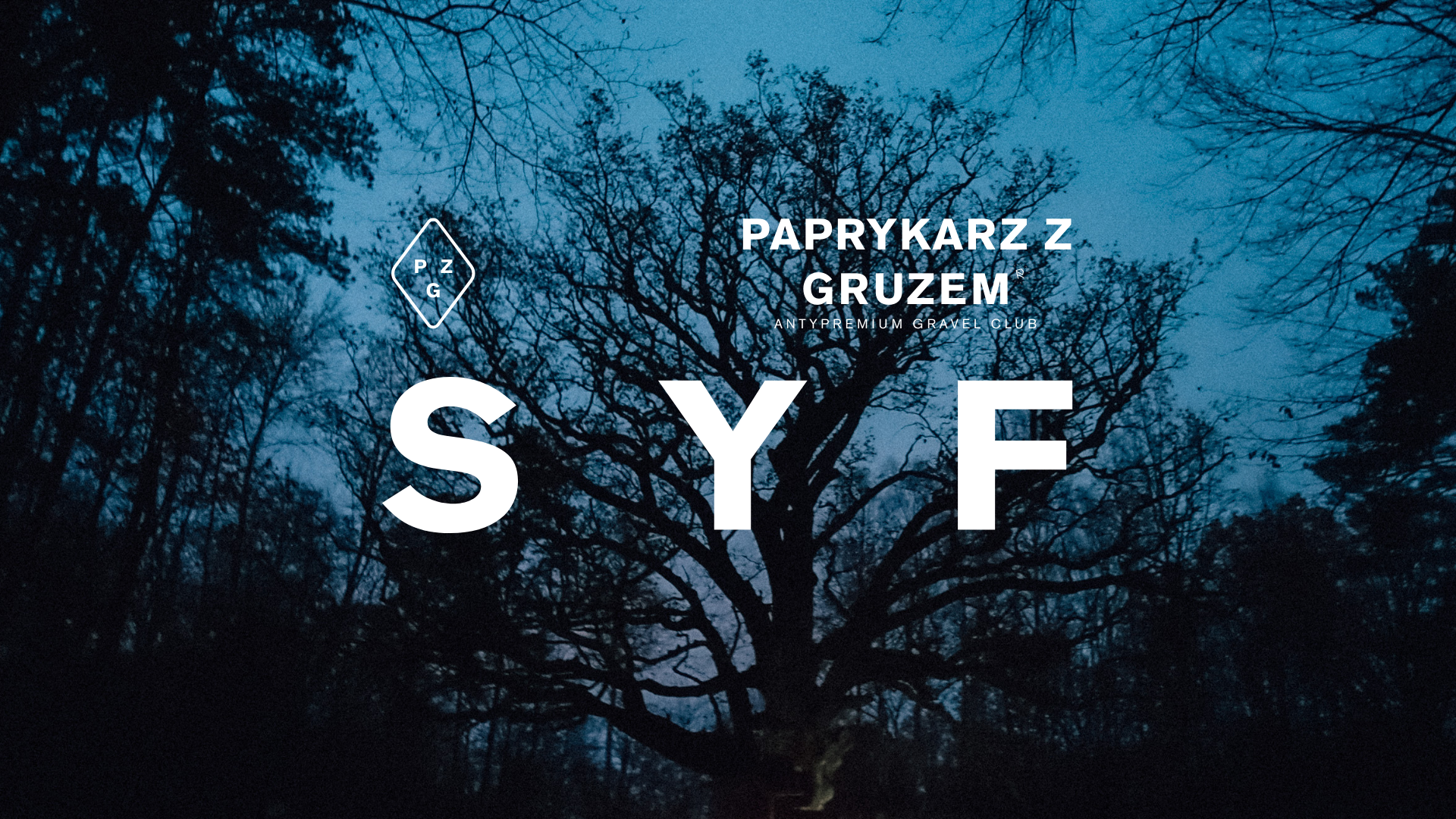 Projekt bez nazwy 24