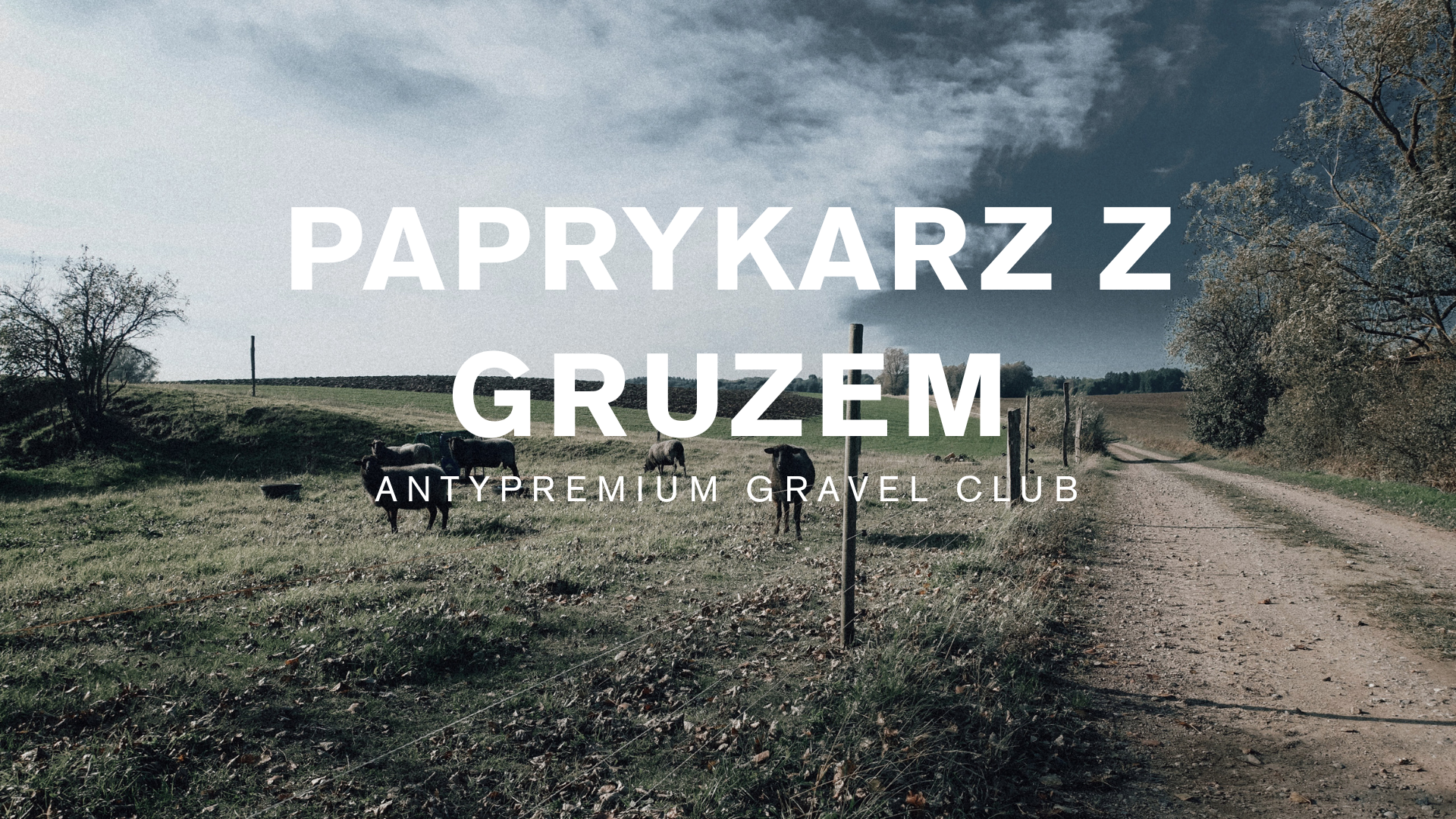 paprykarz2026 2 BREVET