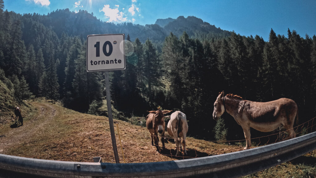 Dolomity 10 GPTempDownload 29